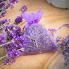 Organzabeutel 7 x 9 cm - dunkelviolett mit Druck Lavendel Lavender