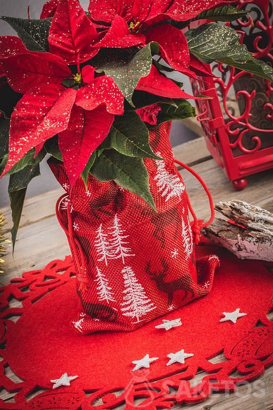 Leinensäckchen mit weihnachtlichem Aufdruck als Hülle für einen Blumentopf