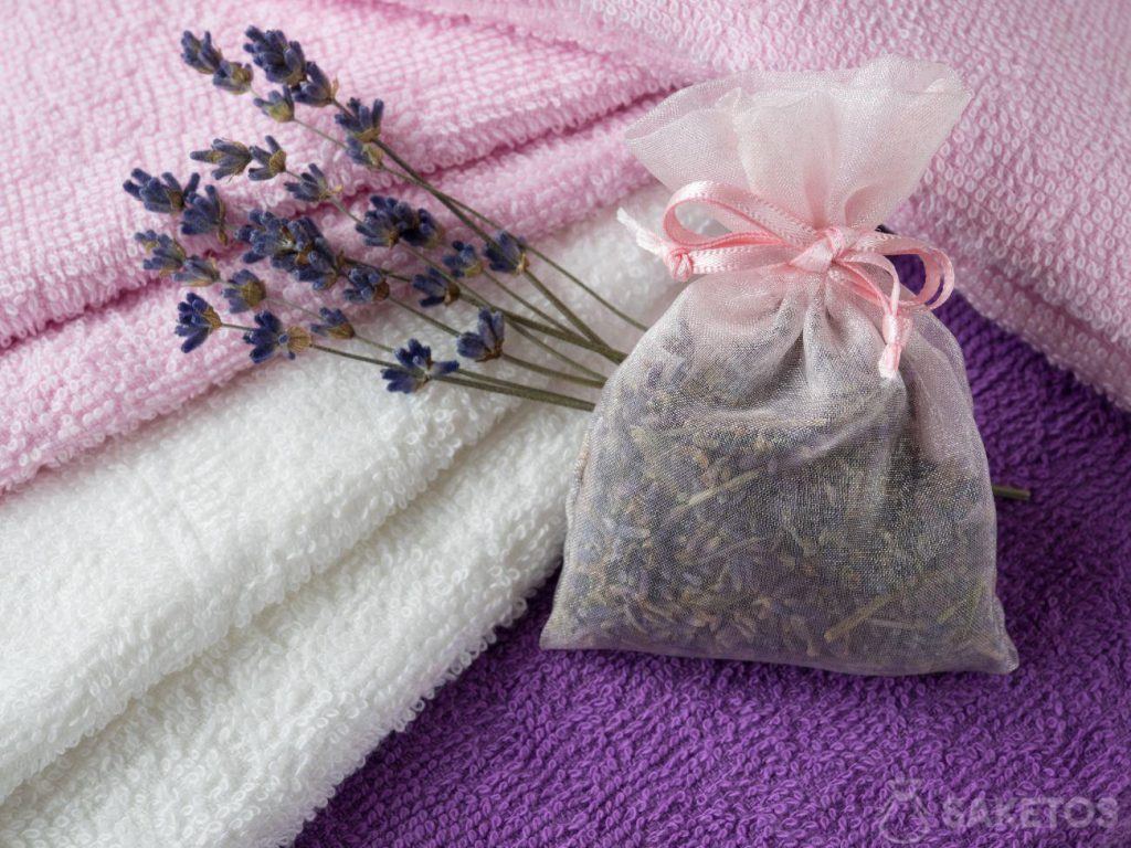 Lavendel schützt vor Kleidermotten und sorgt für einen schönen Duft im Kleiderschrank