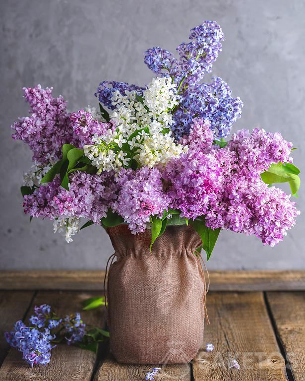 Jutesack als Vasenabdeckung mit fliederfarbenen Blumen