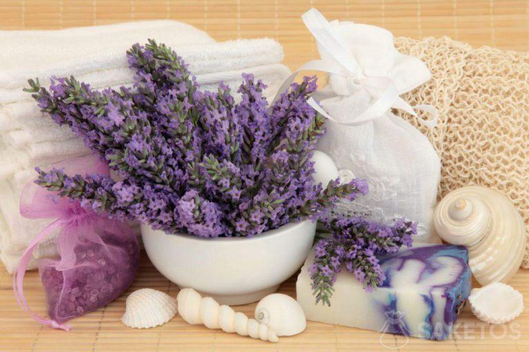 Lavendelkosmetik für Home SPA