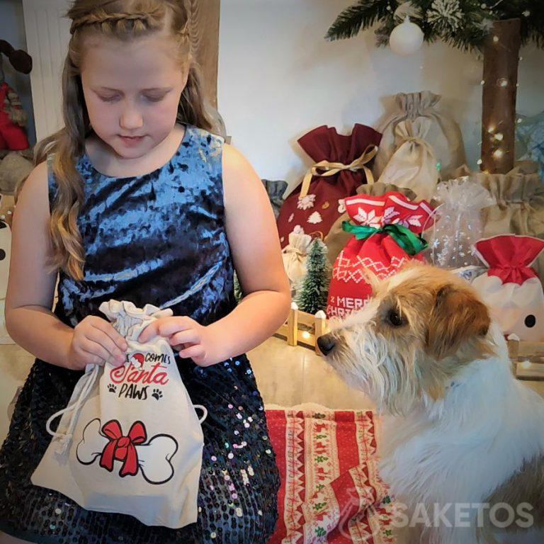 Geschenke und Gadgets für Hunde - eine Tüte für eine Geschenkbox für ein Haustier