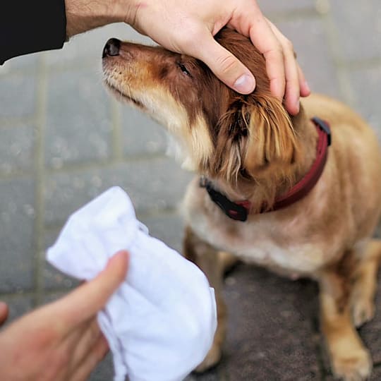 Aufbewahrung von Leckereien für Ihr Haustier
