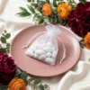 Weiße Organzabeutel mit Gastgeschenk-Mandeln auf einem Teller.