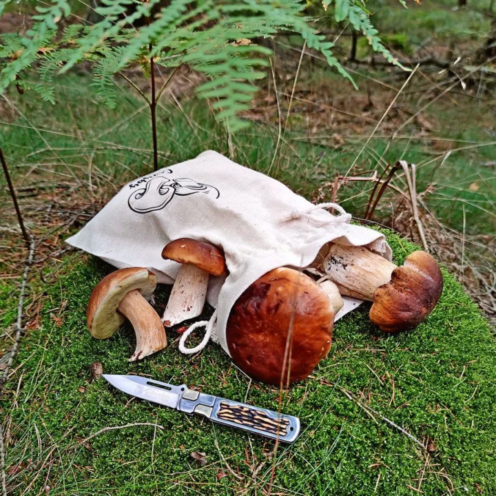 Säcke à la Leinenmit Druck 22 x 30 cm - für Pilze Lifehack - smarte Ideen