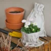Kleiner Jutebeutel als dekorativer Übertopf für Gänseblümchen im Garten