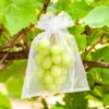 Organzabeutel 18 x 24 cm - gold Obstbeutel