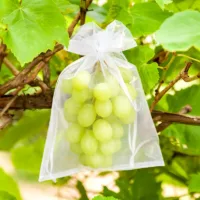 Organzasäcke 22 x 30 cm - weiß Obstbeutel
