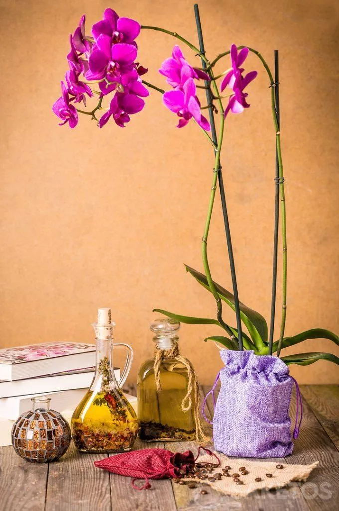 2.Orchidee verpackt in einen dekorativen Jutebeutel