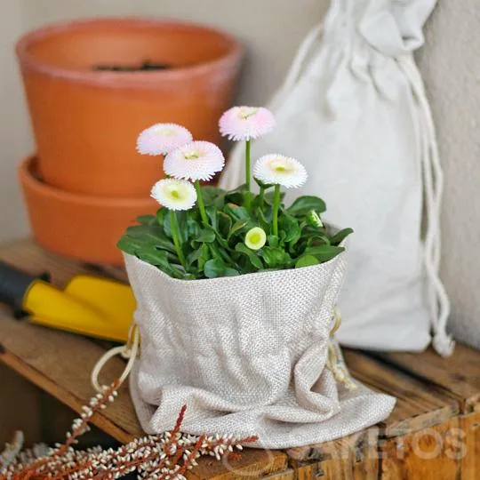 Leinentopfsack