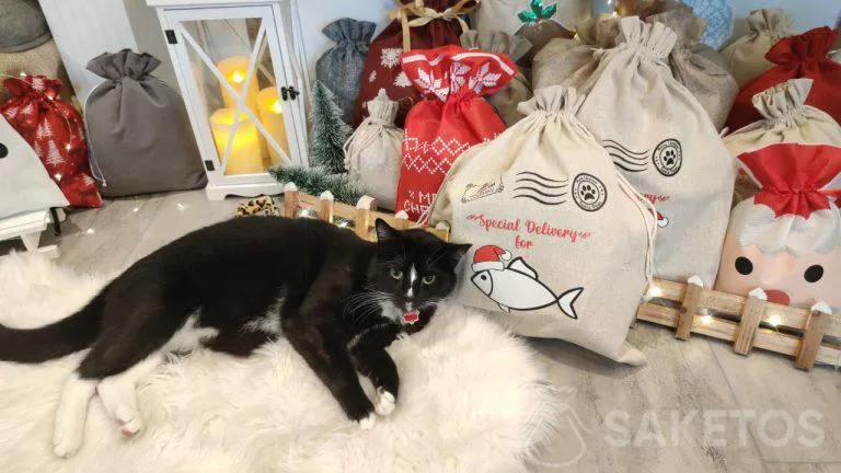 Geschenkverpackungen für Hunde und Katzen