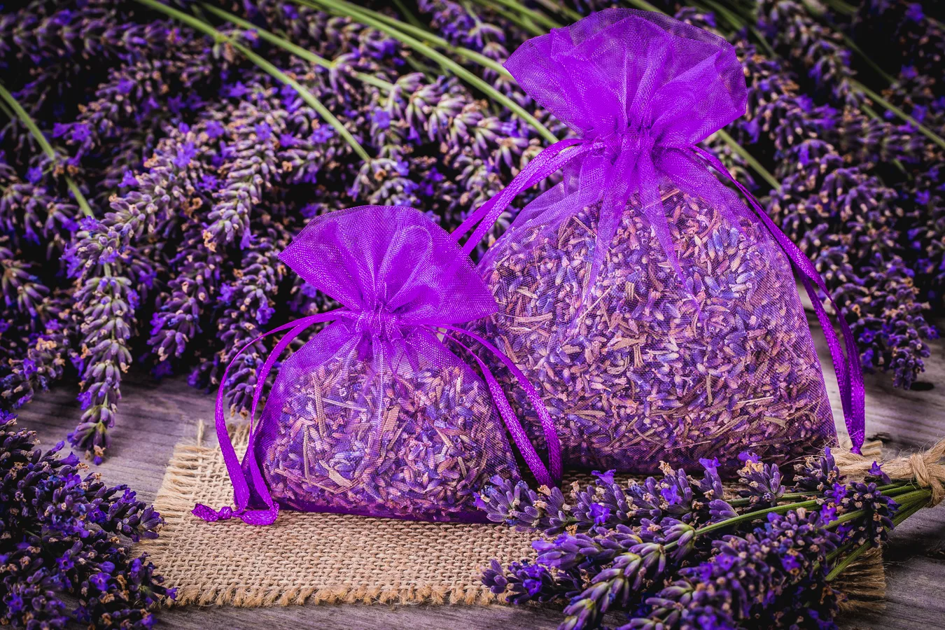 Stoffsäckchen für Lavendel aus zarter Organza – stilvolle Verpackungsidee für getrocknete Blüten oder kleine Geschenke